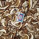 Белый гриб сушеный (2 сорт), 500 грамм, Природные материалы, Барнаул,  Фото №1