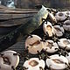 Колье из полимерной глины "Море слоновой кости". Комплекты украшений. Наталья - Украшения на любой вкус - (taptamba). Ярмарка Мастеров.  Фото №5