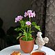 Пеларгония, Скульптуры, Санкт-Петербург,  Фото №1