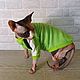 Order Clothing for cats 'Set - jacket cap green apple'. Happy-sphynx. Livemaster. . Pet clothes Фото №3