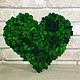 Heart made of stabilized moss 30*35 cm, Kits for photo shoots, Belgorod,  Фото №1
