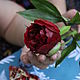 Пионы Red Charm из глины. Элементы интерьера. Юлия Курихина. Ярмарка Мастеров.  Фото №4