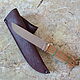 Knife 'Fang-1' 95h18 stab.ash, Knives, Vorsma,  Фото №1