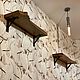 A set of shelves made of slabs of elm (project g. Ivanovo), Shelves, Ivanovo,  Фото №1