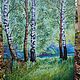 Oil painting landscape birch trees bathed in morning light, Pictures, Krasnodar,  Фото №1