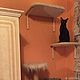Order Wall shelves for cats buy. Available in size. Workshop for dogs and cats. Livemaster. . Accessories for Pets Фото №3