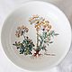 Винтаж: Чашка. Миска. Салатник. Botanica. Villeroy & Boch, Кухонная утварь винтажная, Штутгарт,  Фото №1