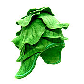 Аксессуары handmade. Livemaster - original item Caps: cabbage. Handmade.