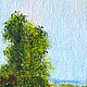  ' Tuscan landscape' miniature in oil. Pictures. flamemilady. My Livemaster. Фото №5