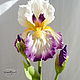 Iris polymer clay, Flowers, Orel,  Фото №1