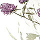 Order 'Clover' watercolor (flowers, lilac). Nadezda Perova. Livemaster. . Pictures Фото №3