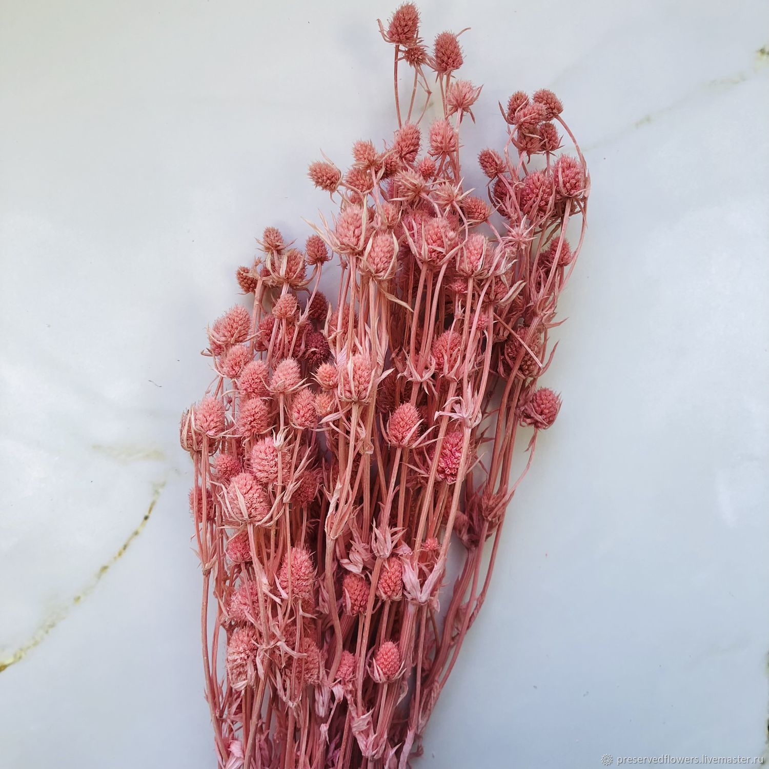 Чертополох, сухоцвет в интернет-магазине на Ярмарке Мастеров | Цветы ...