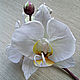 Орхидеи белые 'Фаленопсис цветы из шелка брошь заколка. Цветы. Евгения 'HAT TIME' шляпы и цветы. Интернет-магазин Ярмарка Мастеров.  Фото №2