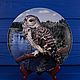 Винтаж: Винтажная тарелка Barred Owl от Wedgwood пёстрая неясыть, Тарелки винтажные, Москва,  Фото №1