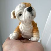 Вязаный комплект для собаки мелких пород - жилет + свитер