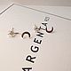 Earrings 2 in 1. Star&moon.  Silver. Earrings. ARGENTA 925. Online shopping on My Livemaster.  Фото №2