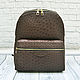 Backpack made of genuine ostrich leather, in dark brown color!, Backpacks, St. Petersburg,  Фото №1