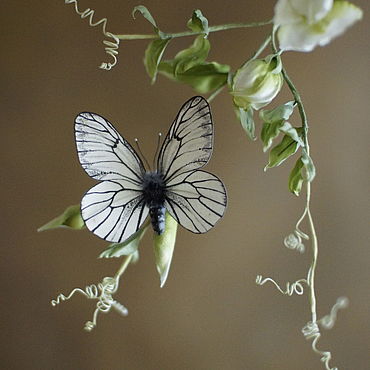 Бабочки из ткани