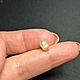 Дикий Морской Жемчуг. Крема 1,50ct. Минералы. Astro.gems. Ярмарка Мастеров.  Фото №5
