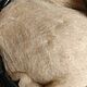  Шерсть овечья для валяния (кардочес) чёсаная битая белая, Шерсть, Чебоксары,  Фото №1