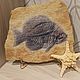Zlatolit with the image of 'Fish of the ancient sea' on the stand, Stones, Izhevsk,  Фото №1