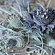 cornflowers ''Nordic spring'', Brooches, Moscow,  Фото №1
