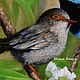 Painting birds ' Moments of happiness alone'. Pictures. yuliabogun. Online shopping on My Livemaster.  Фото №2