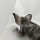 Котёнок Охотник. Скульптуры. FormOZA. Ярмарка Мастеров.  Фото №6