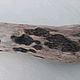 Палка дрифтвуд driftwood. Природные материалы. Юлия Driftwood и Stones. Ярмарка Мастеров.  Фото №6