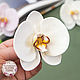 Silicone soap mold 'Orchid Phalaenopsis', Form, Zheleznodorozhny,  Фото №1