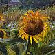 Картина подсолнухи. Летний пейзаж. Холст, масло, 50х70 см. Картины. 'Живая палитра' Ольги Тикуновой. Ярмарка Мастеров.  Фото №5