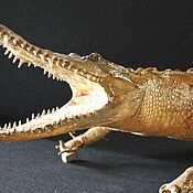 Винтаж handmade. Livemaster - original item Stuffed natural crocodile, Cuba, 1960s. Handmade.