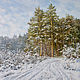 Картина - Зима на опушке леса, Картины, Москва,  Фото №1