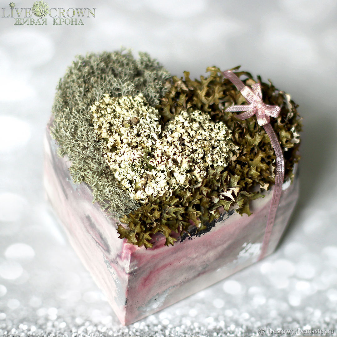 многовековой дуб на серебряном лугу гатчина. кронос мифология титан. крон жив. титан кронос в тартаре. крон жив.