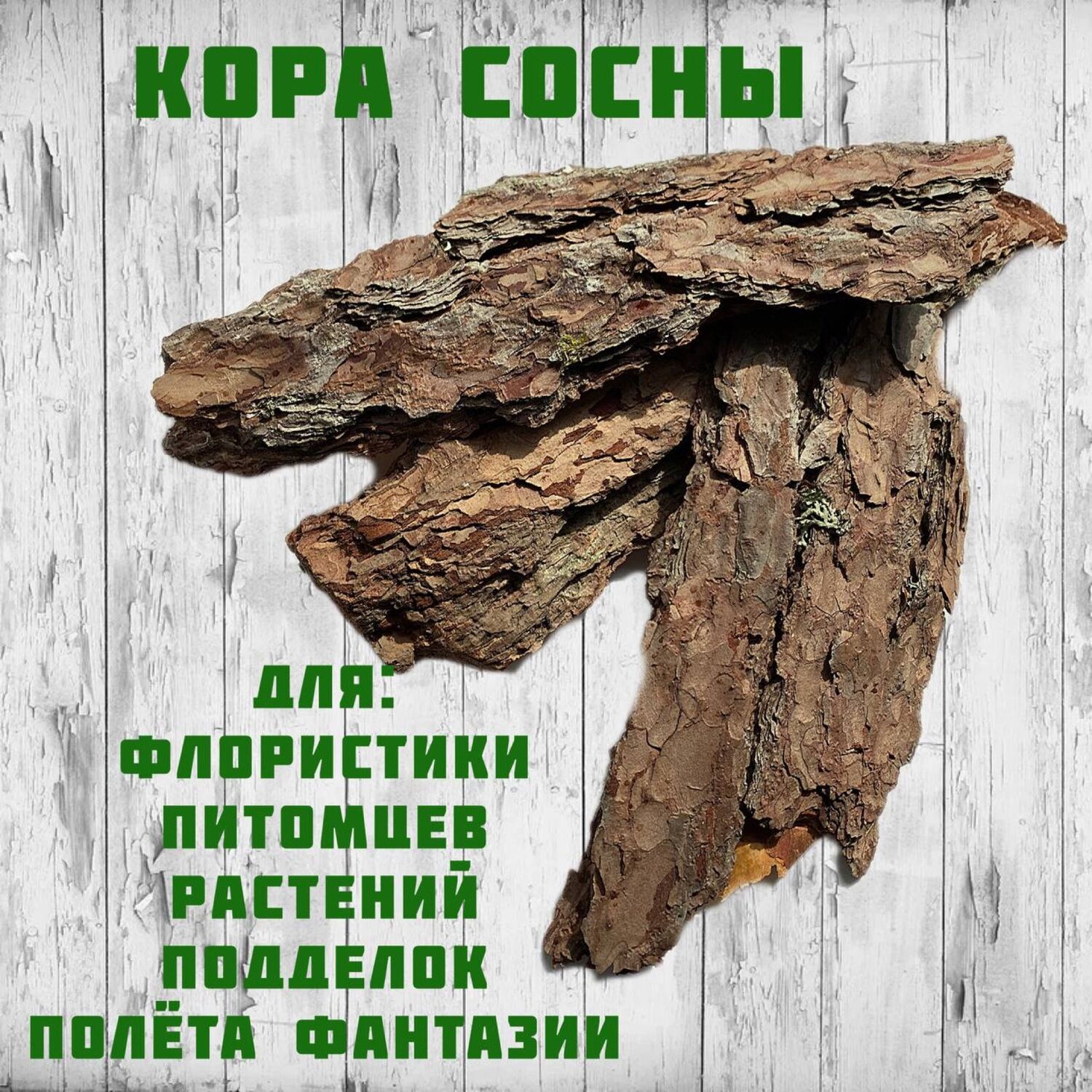 кора сосны в интерьере