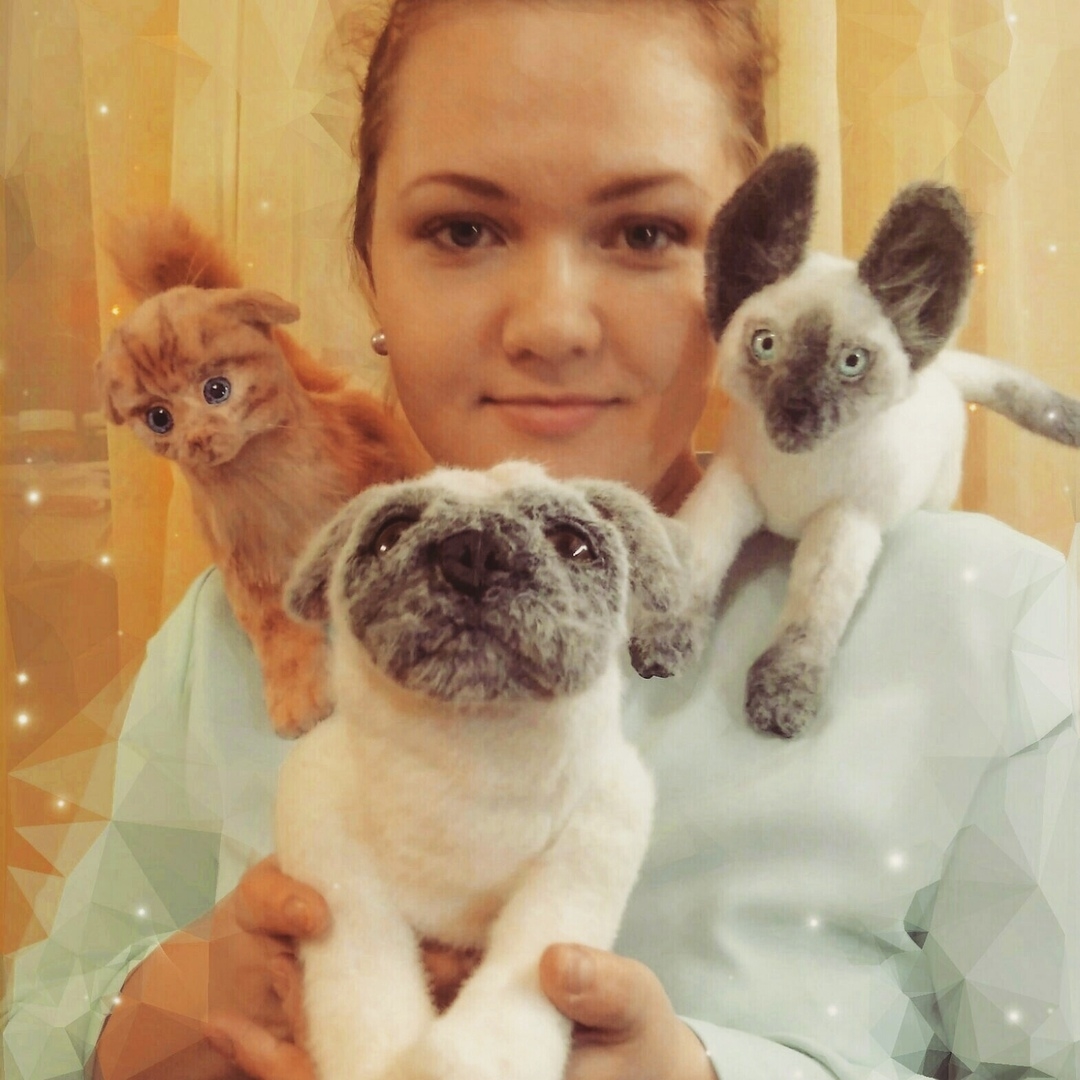 Мой профиль