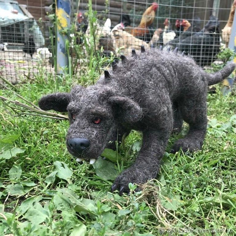 Картинки настоящей чупакабры