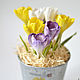 crocuses. Arrangement in a tin bucket. Flowers. KG_flowers. Online shopping on My Livemaster.  Фото №2