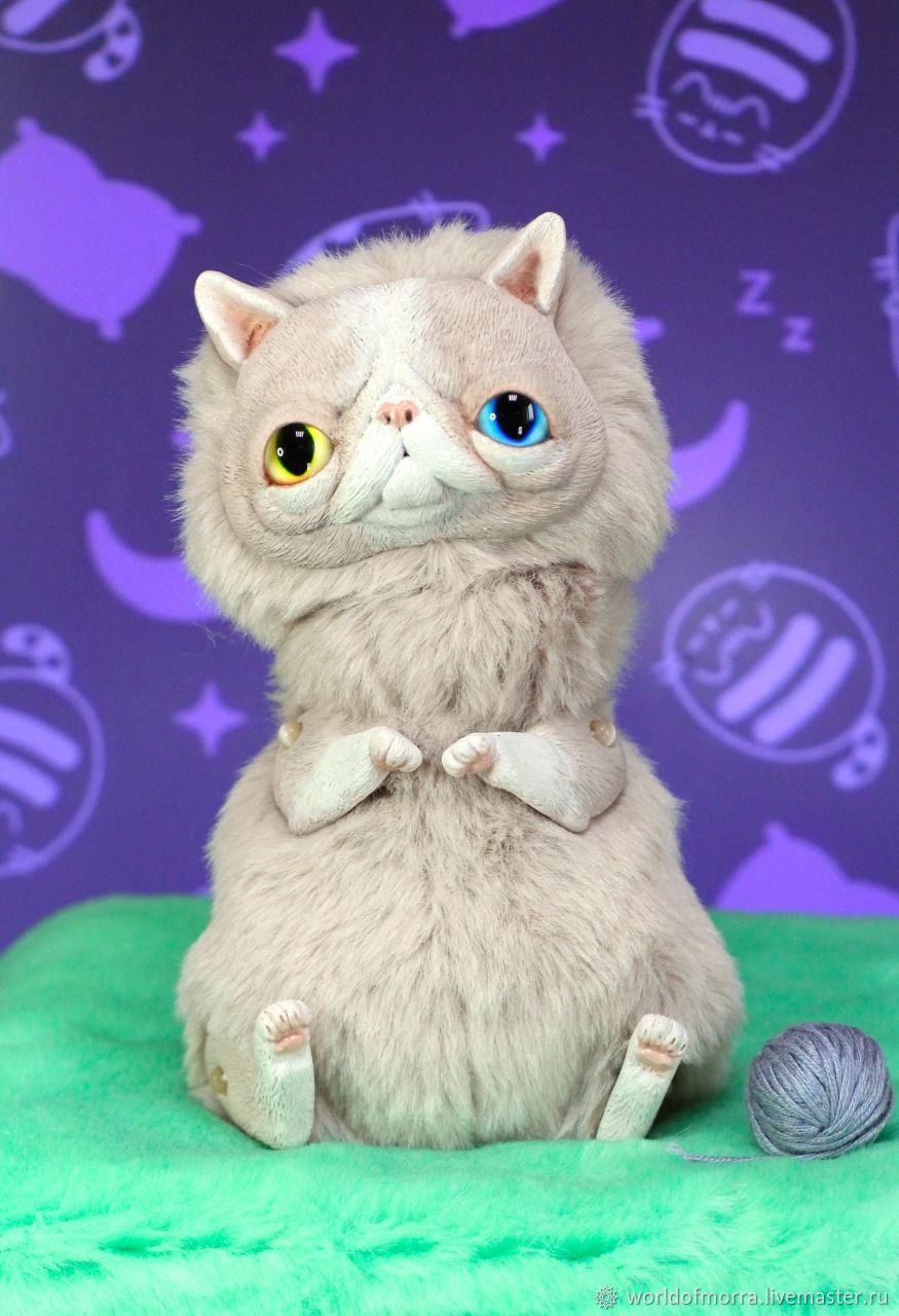 Кот-Экзот, Мягкие игрушки, Искитим,  Фото №1