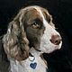 Картина маслом Портрет собаки, Картины, Самара,  Фото №1