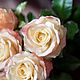 Роза "Cabaret". Цветы. Sezam.Flowers. Ярмарка Мастеров.  Фото №6