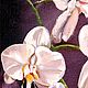 Картина маслом на холсте Орхидеи, картина с цветами. Картины. Светлана Логинова. Интернет-магазин Ярмарка Мастеров.  Фото №2