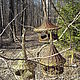 Кормушка для птиц и белочек из неокореного прута. Кормушки для птиц. palkignu плетеная мебель. Интернет-магазин Ярмарка Мастеров.  Фото №2