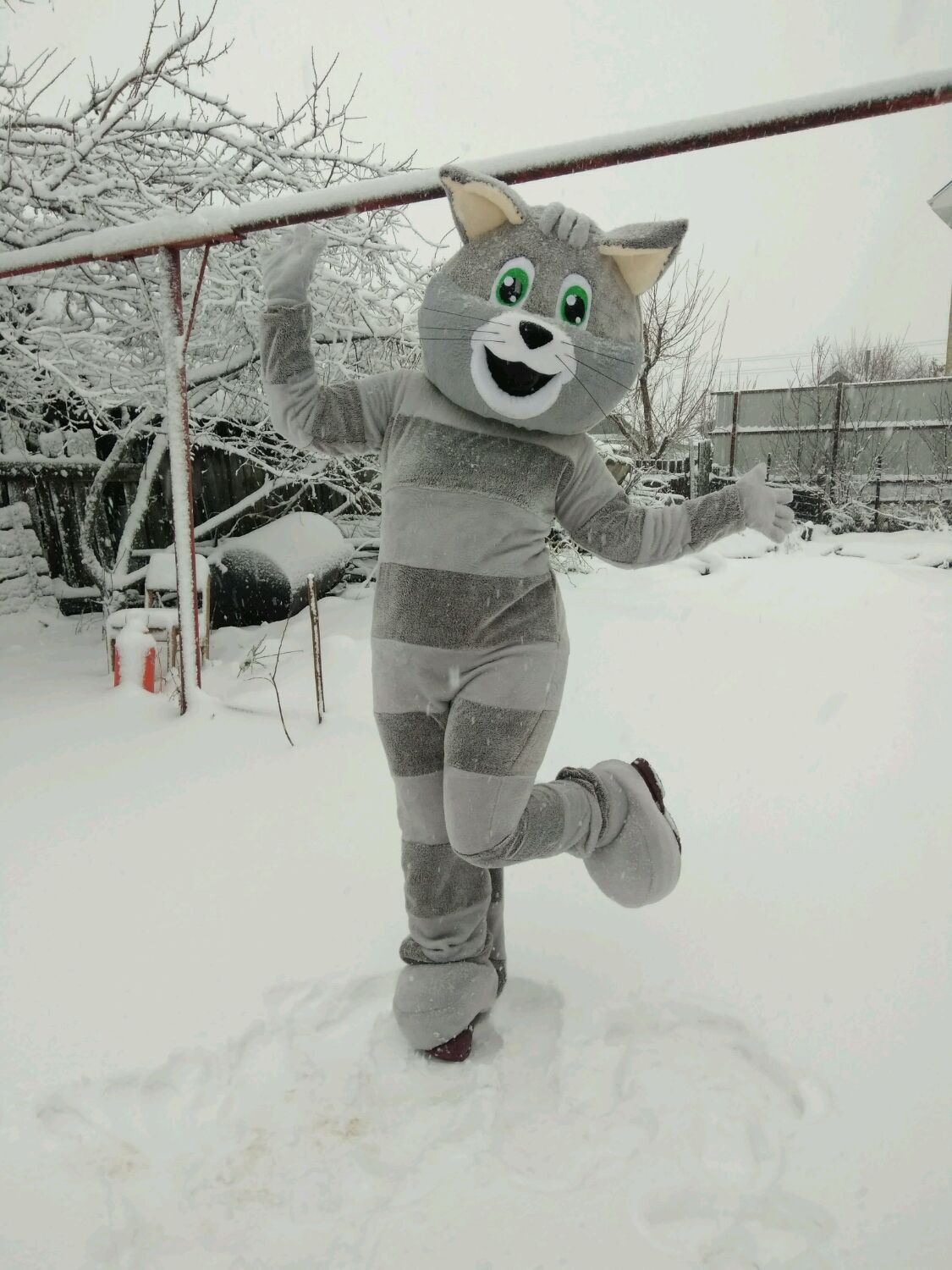 Костюм Кот Матроскин Купить