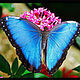 Кулон "Butterfly". Подвеска. Alacritasdesign. Ярмарка Мастеров.  Фото №4