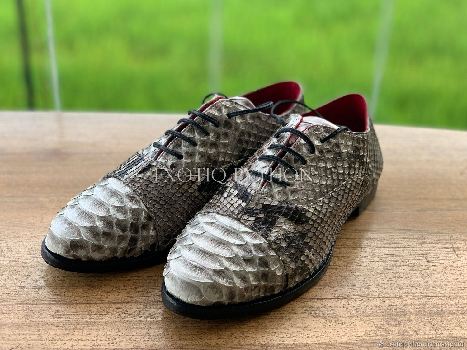 python skin trainers