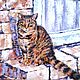 Картина с котом " Кот ждёт ". Картины. Елена Лубягина ♡ картины живопись. Интернет-магазин Ярмарка Мастеров.  Фото №2