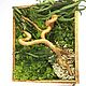 The picture with the moss and ornamental plants 40h50cm, Phyto, Krasnodar,  Фото №1