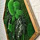 Картина из стабилизированных мхов и растений 80*90 см в раме. Фитокартины. Антонина Литовкина - Озеленение (Планета Флористики). Ярмарка Мастеров.  Фото №5