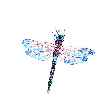 Картины и панно ручной работы. Ярмарка Мастеров - ручная работа Стрекоза. Handmade.